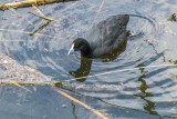 DSC04621.jpg