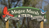 Magee-Marsh,Ohio,2015