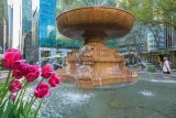 Fountain