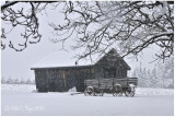 Spring Snow at Rolling Green Farm