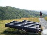 Cannon barrels
