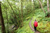 Winding trail