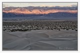 Mesquite Sand Dunes -2