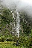 20150202-nz 002.jpg
