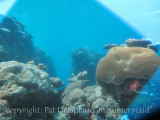 Diving Red Filter