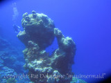 Diving
