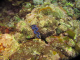 2014-02-11 04:01