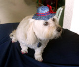 MuffyWithHat-20140815_01.jpg