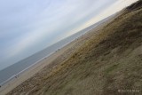 201701_Beach01.jpg