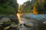 Lake Matheson outlet