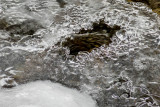 IMG_0379.JPG
