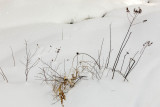 _MG_4637.JPG