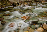 _MG_1237.JPG