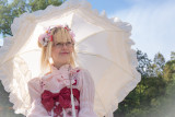 Victorian Picnic Mainz 2014