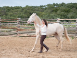 Fotos Anke Schirocki, Fotoreise G.Boiselle, Andalusien