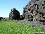 Thingvellir patrimoine de lUNESCO