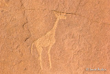 Gravures rupestres de Twyfelfontein