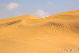 VTT dans les dunes