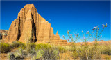 Capitol Reef NP