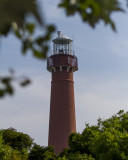 _MG_9395_1.JPG