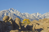 CA Lone Pine Alabama Hills 07 Mts Lone Pine and Whitney.jpg