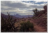 View from Fisher Towers