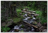 Lost Cabin Lake Trail, Creek