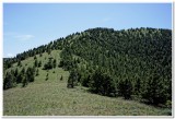 Sleeping Giant Near Helena, Climbing Trail