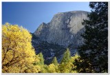 Half Dome from Tenaya Creek