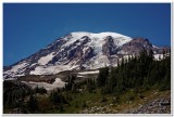 Mount Rainier from Skyline Trail