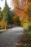 Michigan Fall