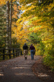 Michigan Fall