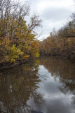 Michigan Fall