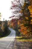 Michigan Fall