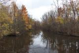 Michigan Fall