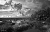 Storm over the Creek