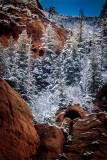 Kolob Canyon Zion National Park