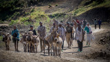 Walking to Market