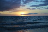IMG_0155.jpg