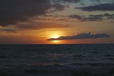 IMG_0156.jpg