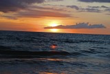 IMG_0164.jpg