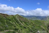 IMG_0612.jpg