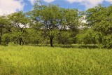 IMG_0619.jpg