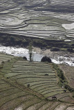 Rice fields around Sapa
