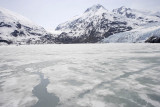 Portage glacier cruise