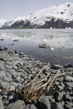 Portage glacier area