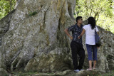 Kandy Botanic Garden