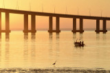 Vasco da Gama Bridge