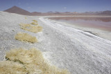 Reserva Eduardo Avaroa, Laguna Colorada