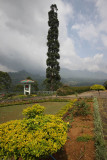 St Clair's Tea Center